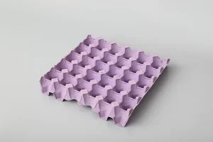 Egg-Tary-02.webp插图