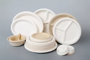 HGHY-Disposable-Tableware-01.webp插图