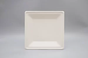 HGHY-Disposable-Tableware-06.webp插图