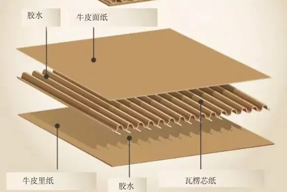 开元平台_开元(中国):重新定义好包装的底层逻辑,让品牌赢在3秒决策期插图4 开元平台_开元(中国):重新定义好包装的底层逻辑,让品牌赢在3秒决策期插图4
