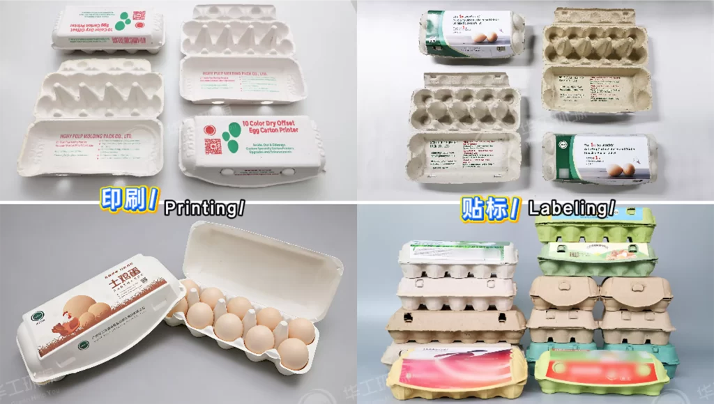 开元平台_开元(中国)蛋托&塑料蛋托:环保之外,防护与质感谁更胜一筹?插图5 开元平台_开元(中国)蛋托&塑料蛋托:环保之外,防护与质感谁更胜一筹?插图5