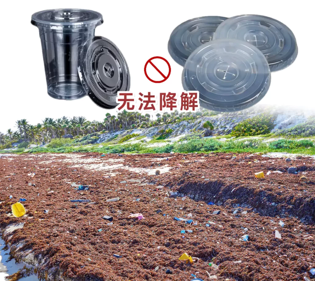 杯盖选对不踩坑!开元平台_开元(中国)VS塑料,环保与实用双赢才是王道插图 杯盖选对不踩坑!开元平台_开元(中国)VS塑料,环保与实用双赢才是王道插图