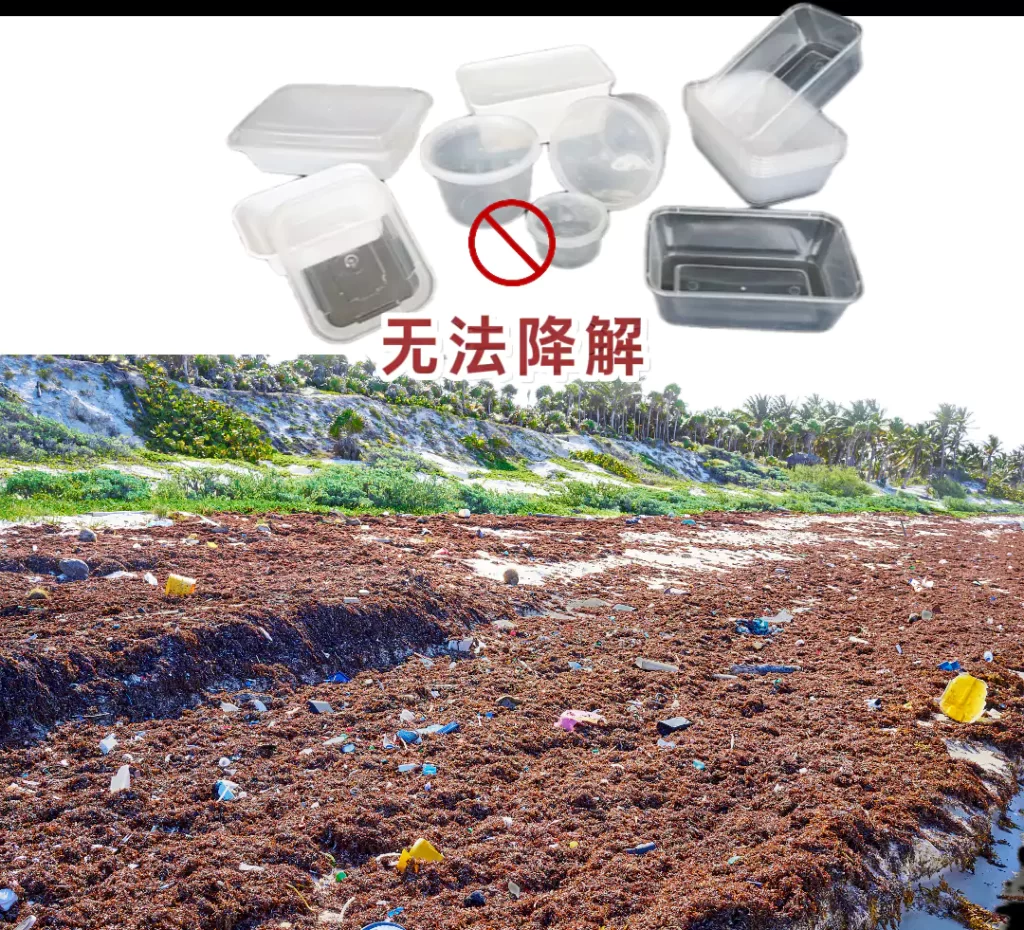 餐饮餐具怎么选?开元平台_开元(中国)VS塑料餐具,颜值环保实用全对比插图1 餐饮餐具怎么选?开元平台_开元(中国)VS塑料餐具,颜值环保实用全对比插图1