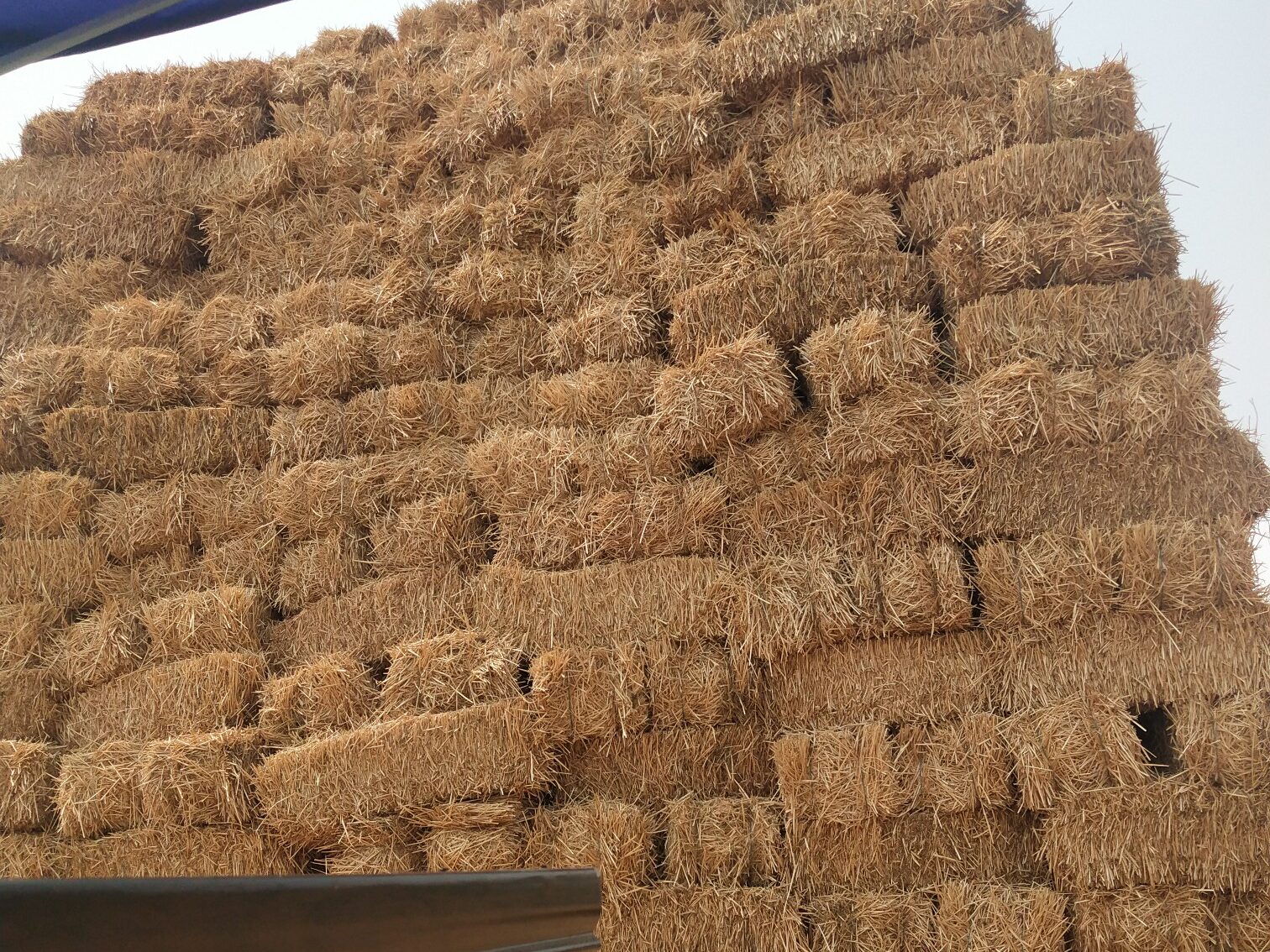 常见的开元平台_开元（中国）原料特点分析插图2